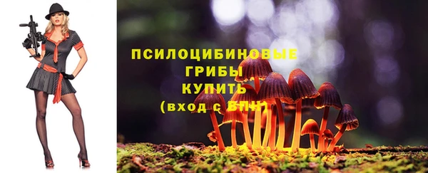 винт Абаза