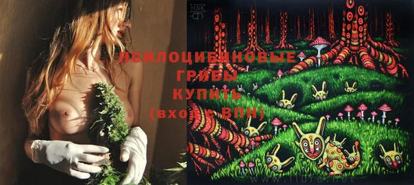 винт Абаза